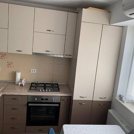 Lovely Bacau 1 Bedroom Apartment エクステリア 写真