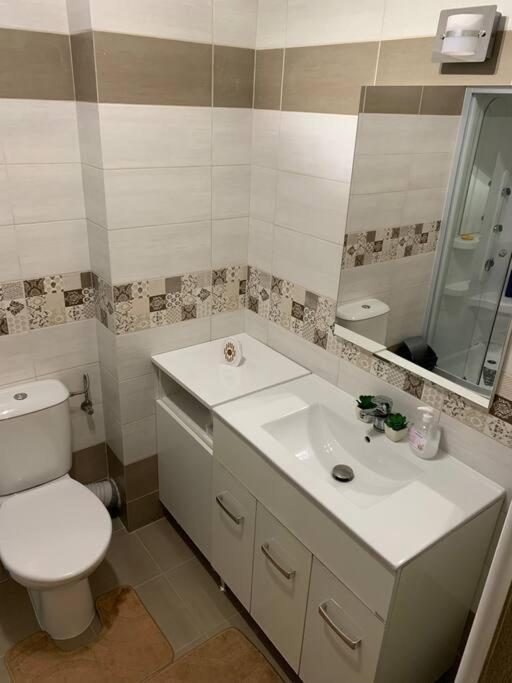 Lovely Bacau 1 Bedroom Apartment エクステリア 写真