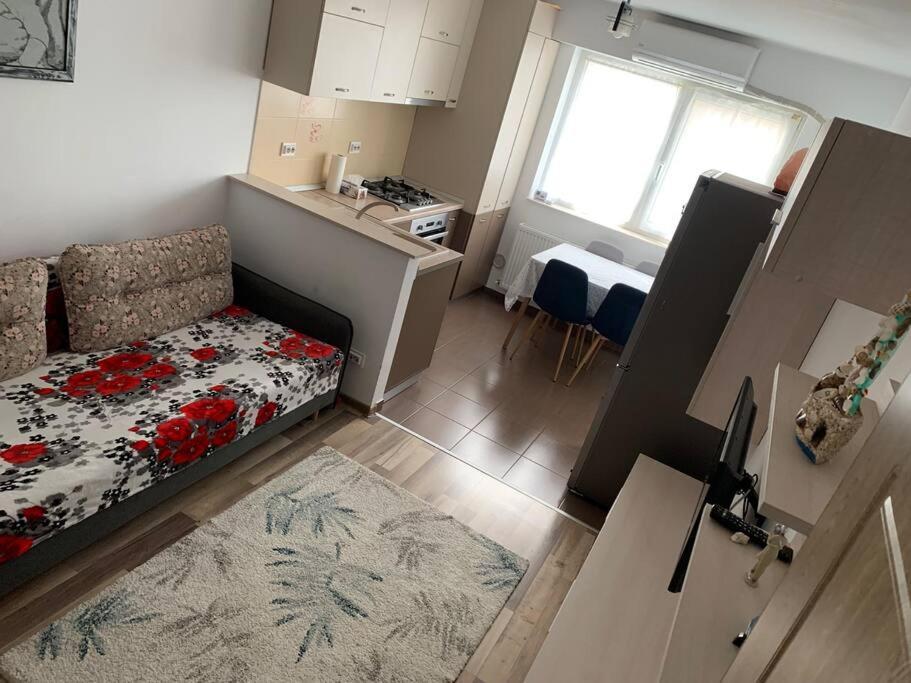Lovely Bacau 1 Bedroom Apartment エクステリア 写真