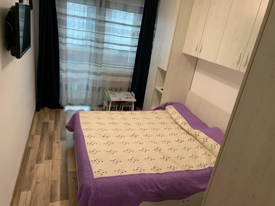 Lovely Bacau 1 Bedroom Apartment エクステリア 写真