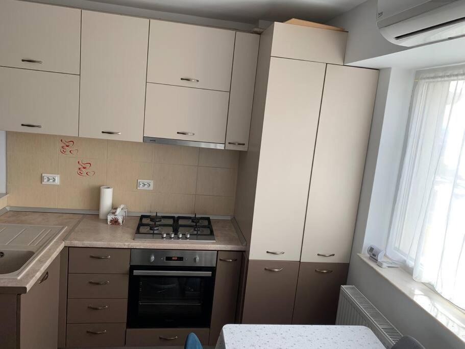 Lovely Bacau 1 Bedroom Apartment エクステリア 写真
